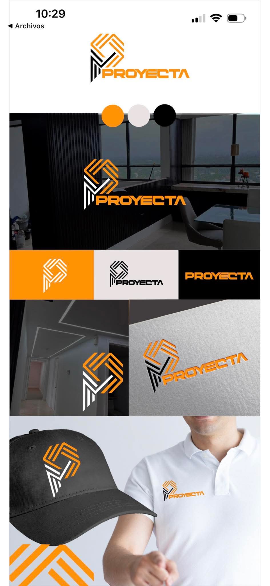 Proyecta LLC Camisetas Manga Largas  100% Algodon - 12 unidades